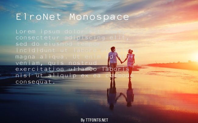 ElroNet Monospace example